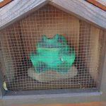 phoca_thumb_m_za abikou 20 Fotogalerie